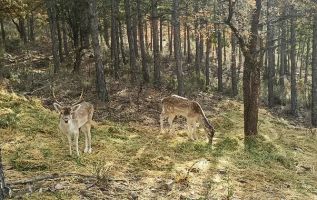 La Maleza Parque de Fauna 3