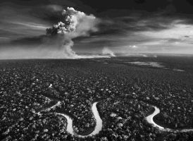 AMAZÔNIA, la Gran Exposición de Sebastião Salgado 4