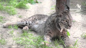 Zoobotánico Jeréz 2