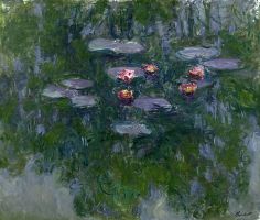 Exposición de Monet 4