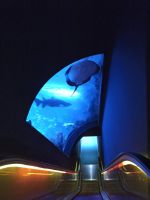 Bioparc Acuario de Gijón 10