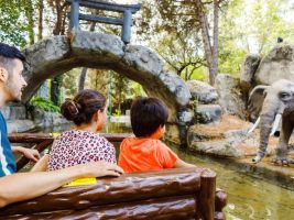 Parque de Atracciones de Madrid 31