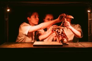 Un Tros de pa - Cia Les Pinyes 4