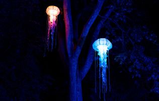 Naturaleza Encendida Bilbao 5