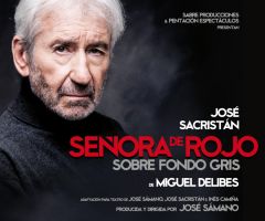 Señora de Rojo Sobre Fondo Gris - José Sacristán 10