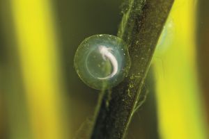L'Aquarium de Barcelona 5