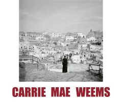 Carrie Mae Weems, Un gran giro de lo posible 4