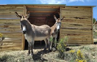 La Maleza Parque de Fauna 18