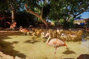 Marineland Mallorca 11