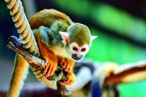 Mundomar Benidorm 10