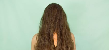 Cabeza Nuez, Breve Historia de la Mujer Zanahoria 1