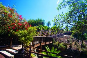 Oasis Wildlife Fuerteventura 4