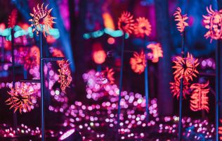 Naturaleza Encendida en Madrid 12