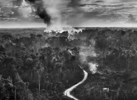 AMAZÔNIA, la Gran Exposición de Sebastião Salgado 5