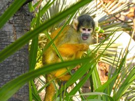 Terra Natura  - Benidorm 4