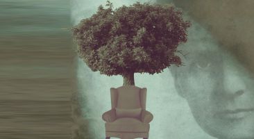 La ridícula idea de no volver a verte 2