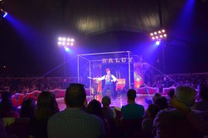 Circo Raluy Legacy  1