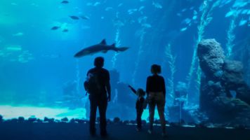 Acuario Poema del Mar 5