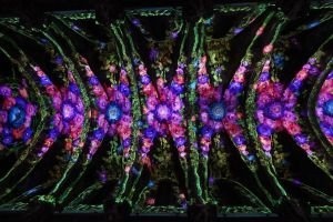 Visita a la Iglesia de San Nicolás 6