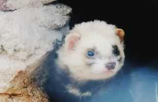 La Maleza Parque de Fauna 13