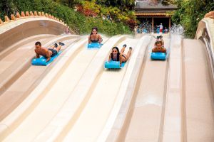 Siam Park 14