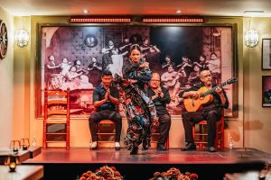 Tablao Flamenco La Cantaora 1