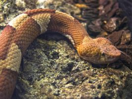 Terra Natura  - Benidorm 10