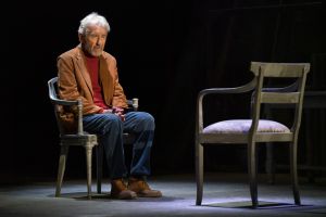 Señora de Rojo Sobre Fondo Gris - José Sacristán 8