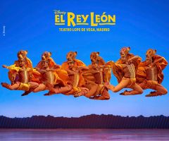 El Rey León 11