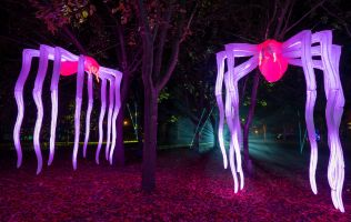 Natura Encesa Barcelona 8