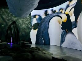 Antarctica Experience 1