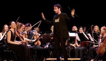 Camerata Musicalis - ¿Por qué es especial? 4