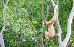 Bioparc Fuengirola 1