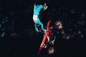 Freestyle World Tour 4