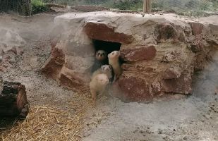 La Maleza Parque de Fauna 14