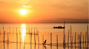 Albufera Bus Turistico 1