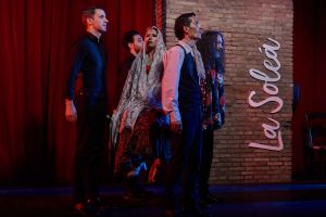 Flamenco show: Zambra, la raíz 2