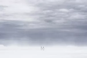 Antarctica Experience 4