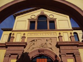 Mercat de les Flors 2