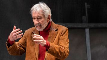 Señora de Rojo Sobre Fondo Gris - José Sacristán 3