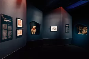 Disney: The Exhibition 1