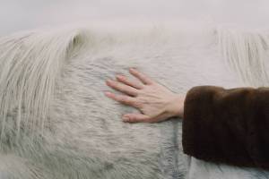 Electra - Fernanda Orazi 6