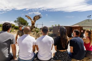 Teleferico de Benalmadena 7