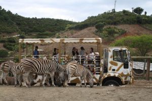 Selwo Aventura Estepona 7