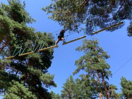 De Pino a Pino San Rafael 1