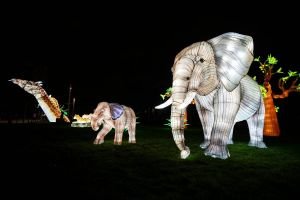 Brilla Zoo Festival 4