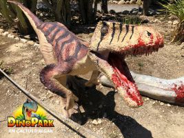 DinoPark Algar 24