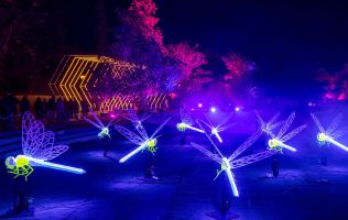 Natura Encesa Barcelona 10