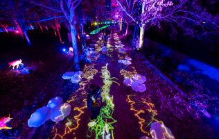 Natura Encesa Barcelona 3