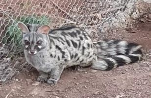 La Maleza Parque de Fauna 16